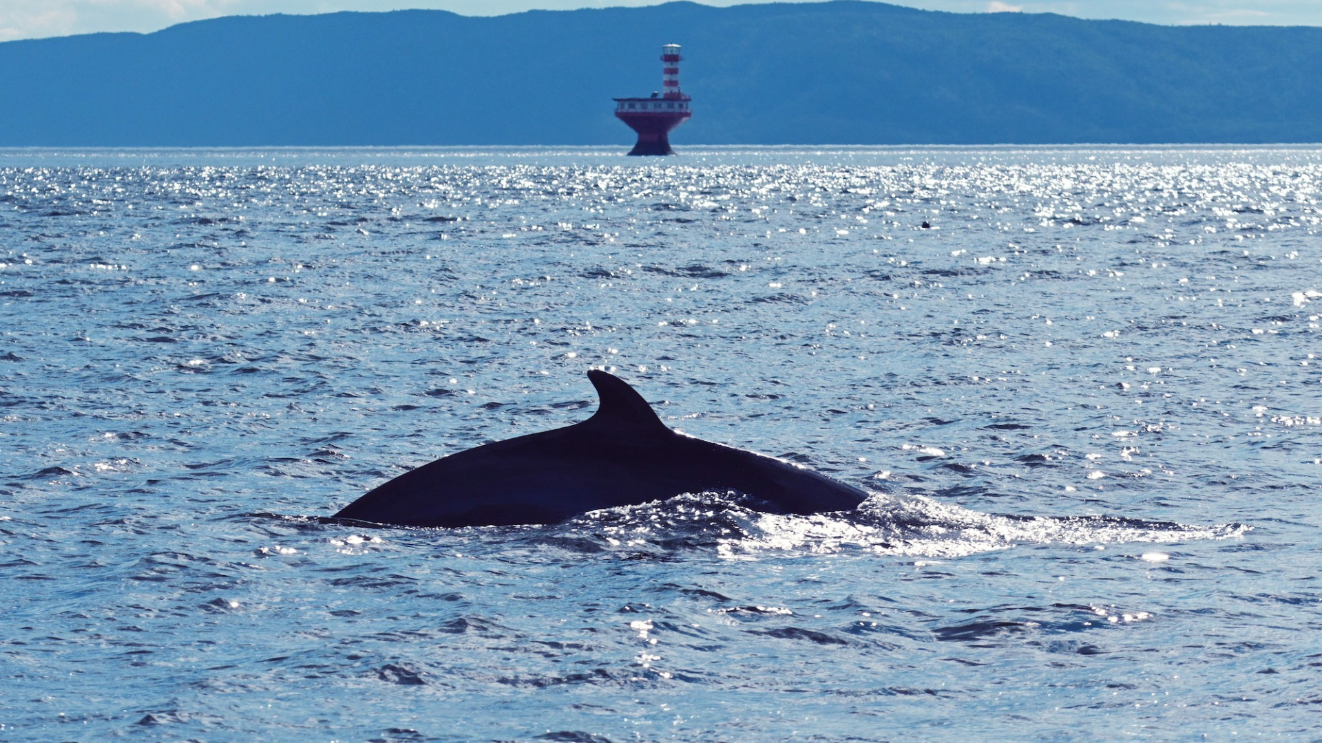 Tadoussac Autrement
